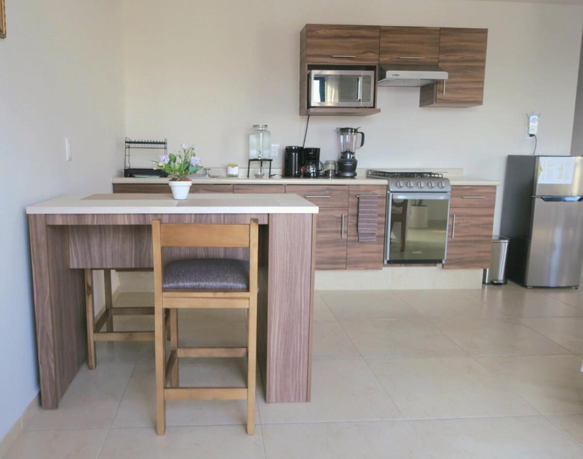 Departamento Tequis, Totalmente Nuevo En El Corazon De Slp Apartment San Luis Potosí Екстериор снимка